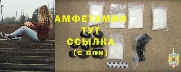 дживик Богородск