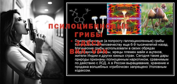 круглые Богородицк